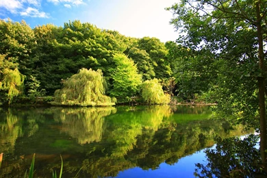 Nature Desktop Wallpapers Hd   Wallpapers HD Fine