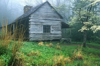 Natural Beauty Wallpapers   Wallpapers Cave