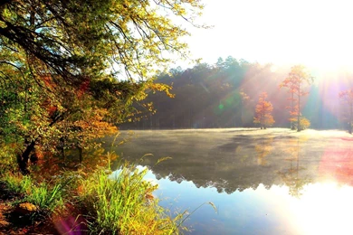 Wallpaper: Natural Beauty HD Wallpapers 2013