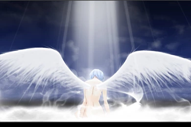 453 Neon Genesis Evangelion HD Wallpapers