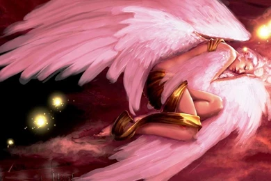 PINK ANGEL WALLPAPER   (