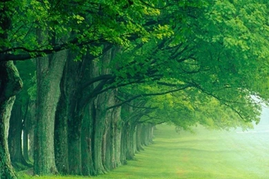 Desktop Wallpapers In HD Nature