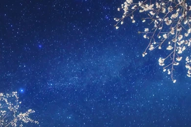 Samsung S6 Wallpapers Bing Images