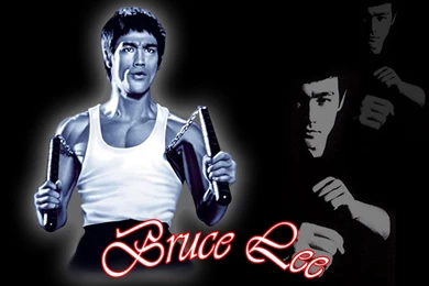 Bruce Lee 383665