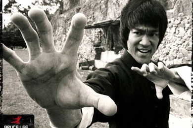 60+ Epic Bruce Lee Quotes & Inspirational Art