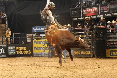 Justpict.com Pbr Bull Riding Logo Wallpapers