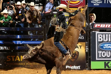 Asteroid Vs JB Mauny Bull (page 2) Pics About Space