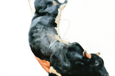 Kidd Rock PBR By PatrickAlbertos On DeviantArt