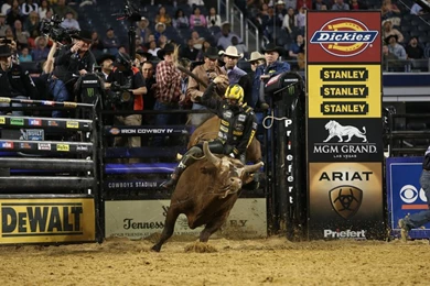 PBR Bushwacker Wallpapers Bing Images
