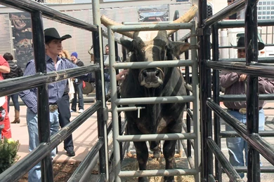 2014 PBR Asteroid (page 4) Pics About Space