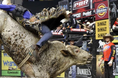 PBR Cowboys Bing Images