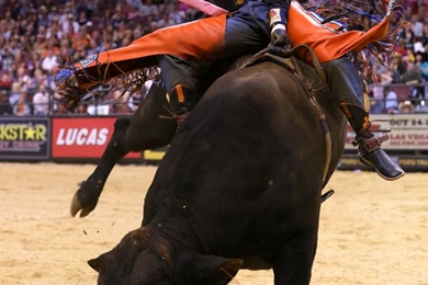 PBR Professional Bull Riding Show With Kawasaki Kawasaki ...