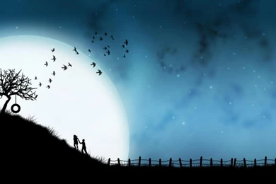 Skyfall Wallpapers   (