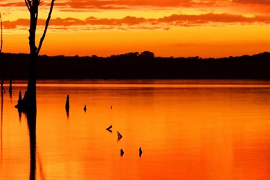 Sky Search Lg G3 Wallpapers HD 1440x2560