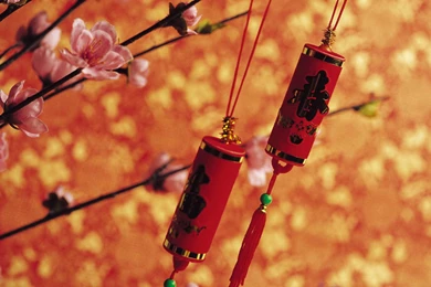 Chinese New Years Wallpaper HD Download.jpg