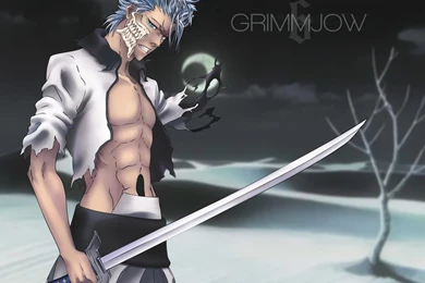 Grimmjow Wallpapers By BritanniaWD On DeviantArt