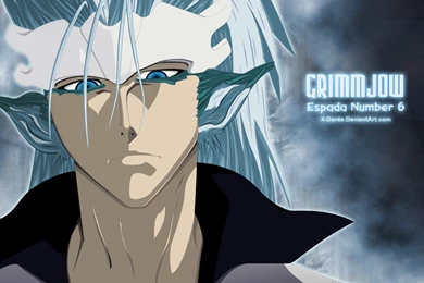 Grimmjow Jaggerjack Wallpapers   Wallpapers Cave