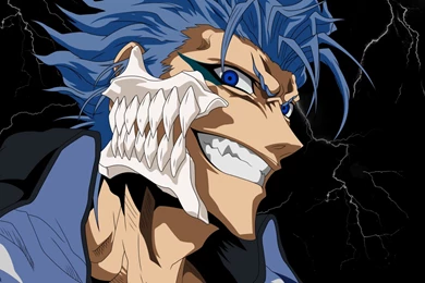 Grimmjow Wallpapers   Wallpapers Cave
