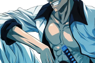 Grimmjow Jaggerjack Wallpapers   Wallpapers Cave