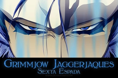 Grimmjow Pantera Wallpapers By KhiMa On DeviantArt
