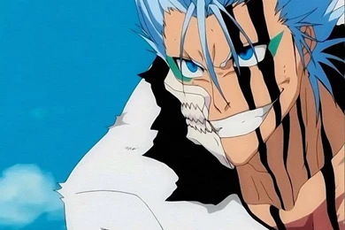 Grimmjow Bleach (c) Kubo Tite