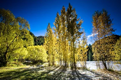 Autumn New Zealand Wallpapers