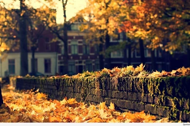 Best, Wonderful Cities In The World Wallpapers Hd