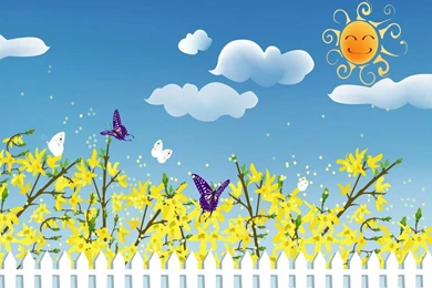 SUNSHINE SKY WALLPAPER   (