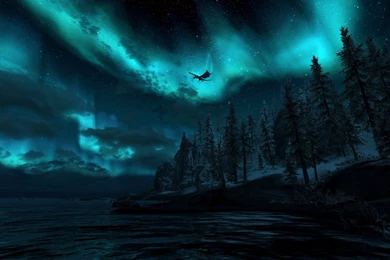 The Elder Scrolls V: Skyrim Computer Wallpapers, Desktop ...