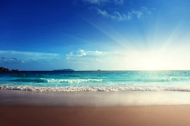 Sunshine Beach   Wallpaper.