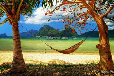 427527_caribbean_paradise_sunshine_sea_beach_hammock_palm_2560x1440_www.Gde Fon.com.jpg