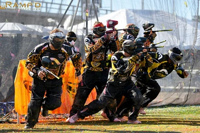 Paintball Sport Wallpapers   Crazy Frankenstein