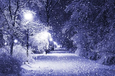 Winter, Snow, Night, Park, Trees, Lights Wallpapers   ForWallpapers ...