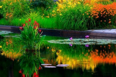 Hd Nature Wallpapers For Windows 7 Free Download