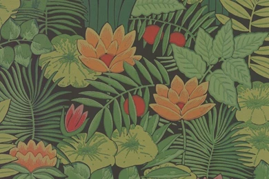 Little Greene Reverie Wallpapers