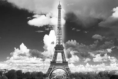 Classic Black White Photo Wallpapers Paris Eiffel Tower Designer ...