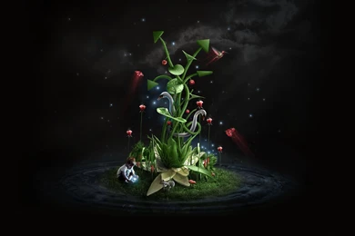 Creative Wallpapers Design