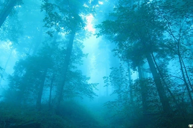 Music Graphic Eye Popping Wallpapers For Mac   Gallsource.com