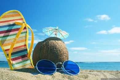 Summer Scenes Wallpapers 2   Crazy Frankenstein