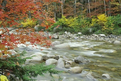 Beautiful Nature Wallpapers   25 Photos