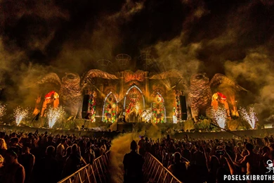 Review: EDC NY 2015   Concrete Jungle @ MetLife Stadium In East ...
