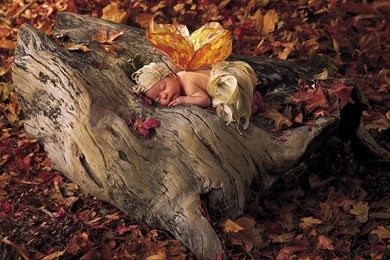 Autumn Fairy Baby 1920x1200 Wallpapers, 1920x1200 Wallpapers ...