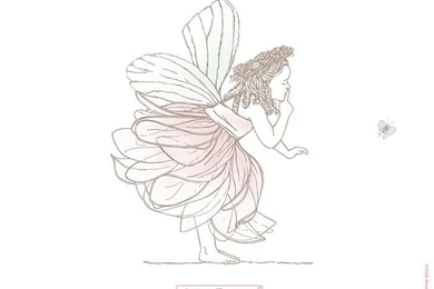 Anne Geddes Baby Pictures   Flower Fairy Baby 34   Wallcoo.net