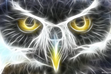 3D Animal Wallpapers