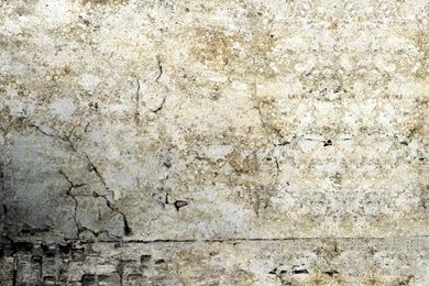 Vintage Wallpapers Murals 14 Wide Wallpapers   XDwallpaper.com