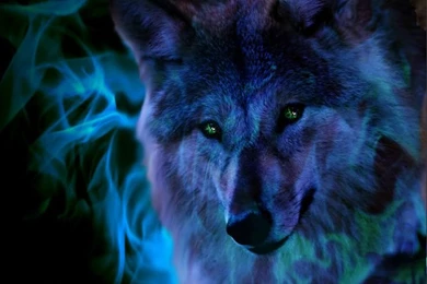 3d And Abstract Animals