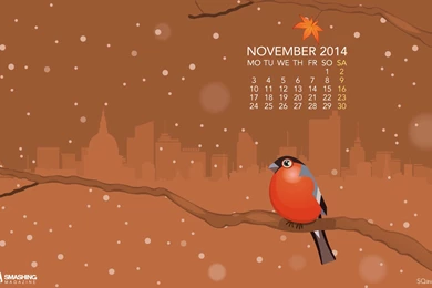 November 2014 Desktop Wallpapers