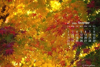 2003 November Desktop Calendar   November Calendar Wallpaper11 ...