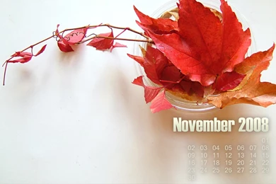 November 2008 Desktop Calendar Wallpapers