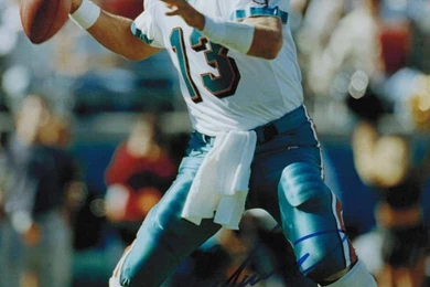 Dan Marino Dolphins   Bing Images